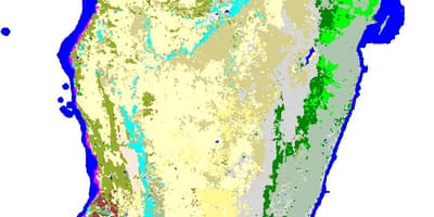 नक्शा मेडागास्कर की वनस्पति